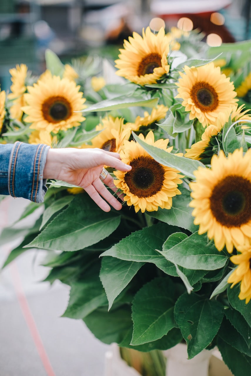 Sunflower_market