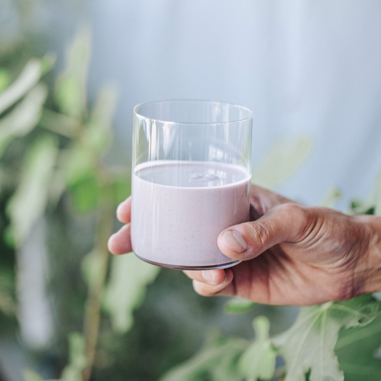 Protein Powder with AVEA Collagen Activator