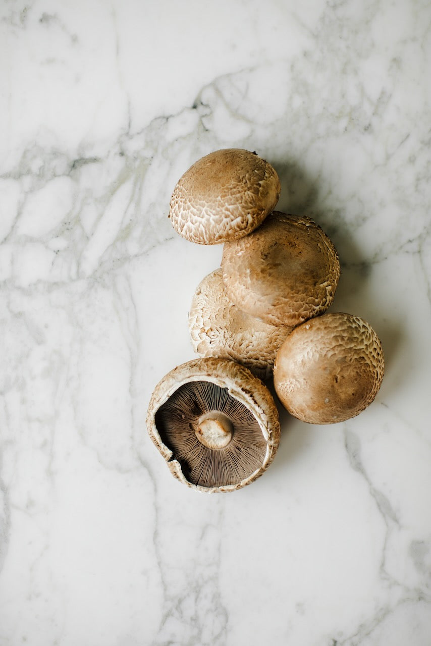 mushroom_bourguignon_recipe